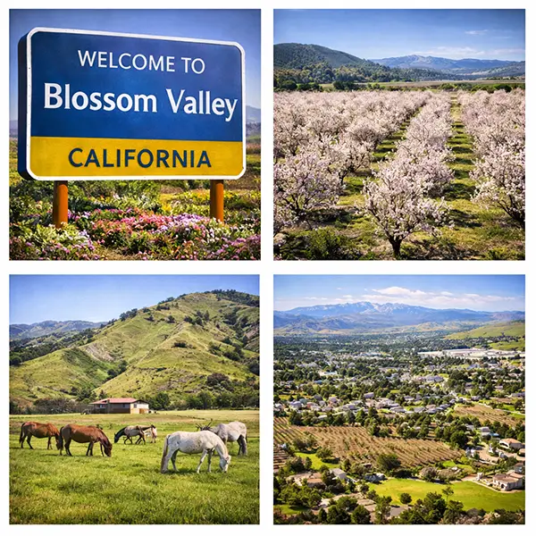 Blossom Valley AZ Garage Cabinets