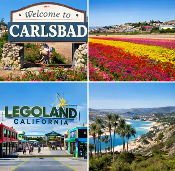 Carlsbad CA Garage Cabinets