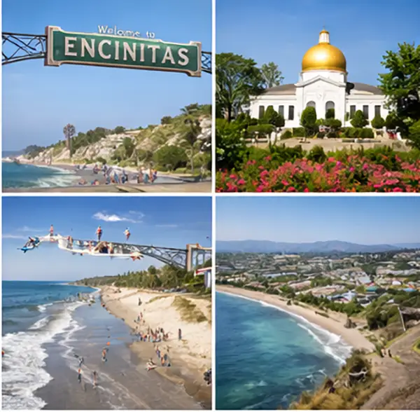 Encinitas CA Garage Cabinets