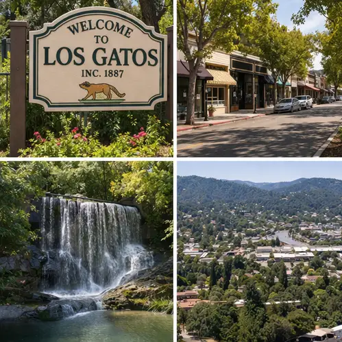 Los Gatos CA Garage Cabinets