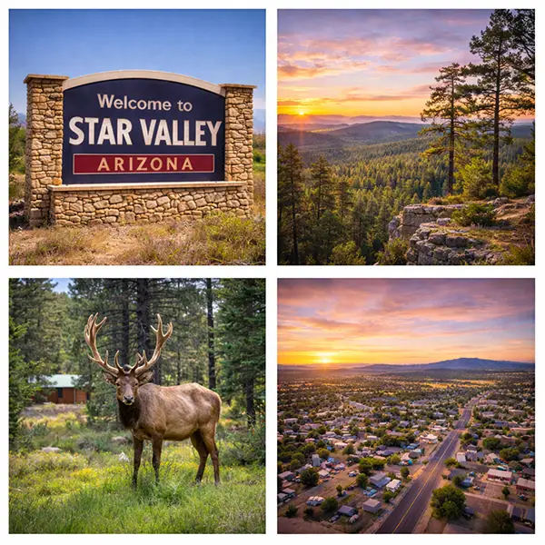 Star Valley AZ Garage Cabinets